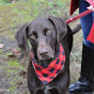 Meet your Posher, Deanna